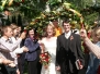 2006-08-12 Hochzeit Miriam und Peter in Mundelsheim